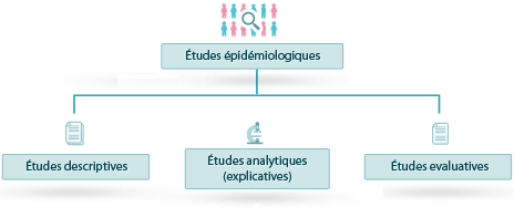 Figure 1 : schéma  récapitulatif des études épidémiologiques selon l’objectif