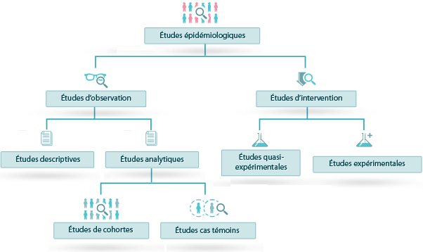 Figure 2 : schéma récapitulatif des études épidémiologiques selon l’attitude de l’investigateur