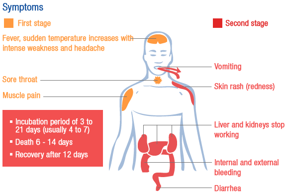 Alert And Response To The Ebola Virus Disease Epidemic