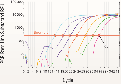 Figure 9 : Amplification génétique du virus