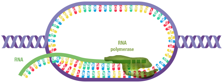 Figure 14