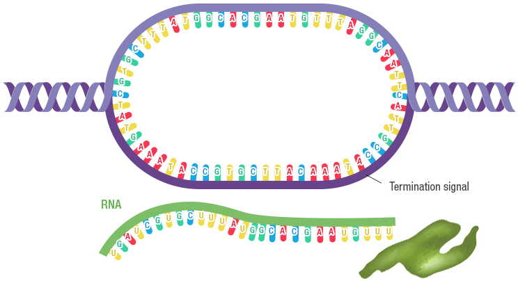 Figure 15