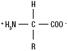 Figure 1: General structure of an amino acid