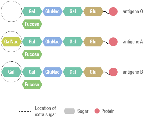 Figure 22