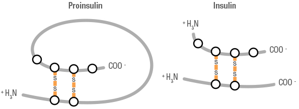 Figure 23