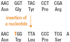 Figure 27